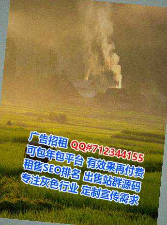 宣恩代怀大数据公司